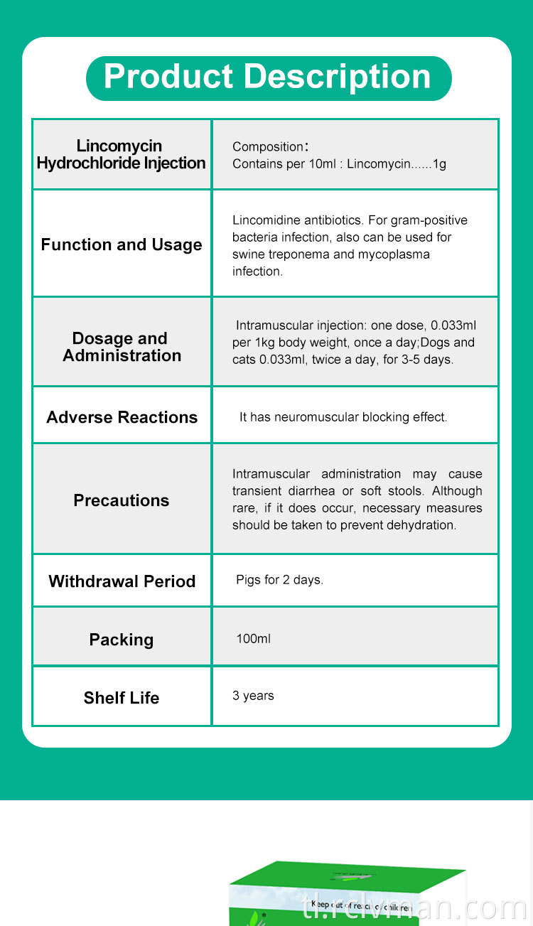Lincomycin Hydrochloride Injection 02